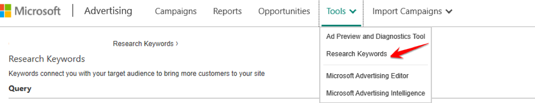 Microsoft Keyword Research